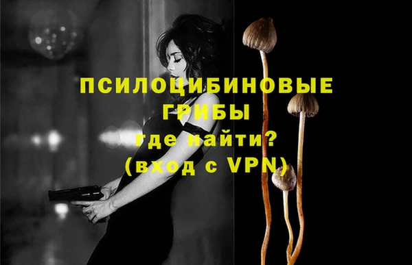 винт Горно-Алтайск