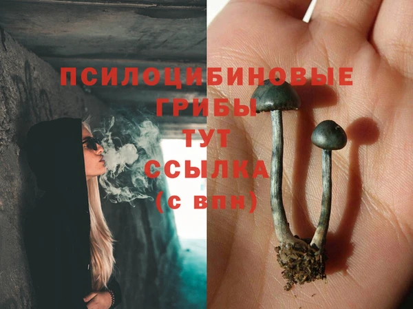 мет Горняк